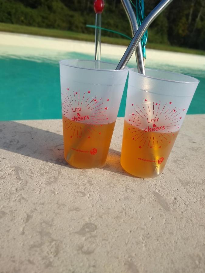 Lunay Domaine De La Vaudouriereヴィラ エクステリア 写真