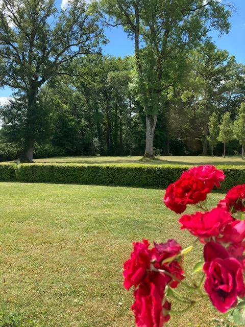 Lunay Domaine De La Vaudouriereヴィラ 部屋 写真